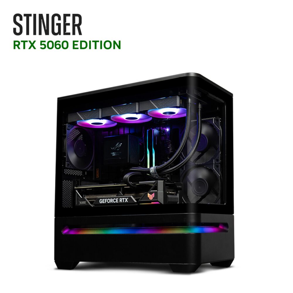RTX5060 AMD L1 STINGER