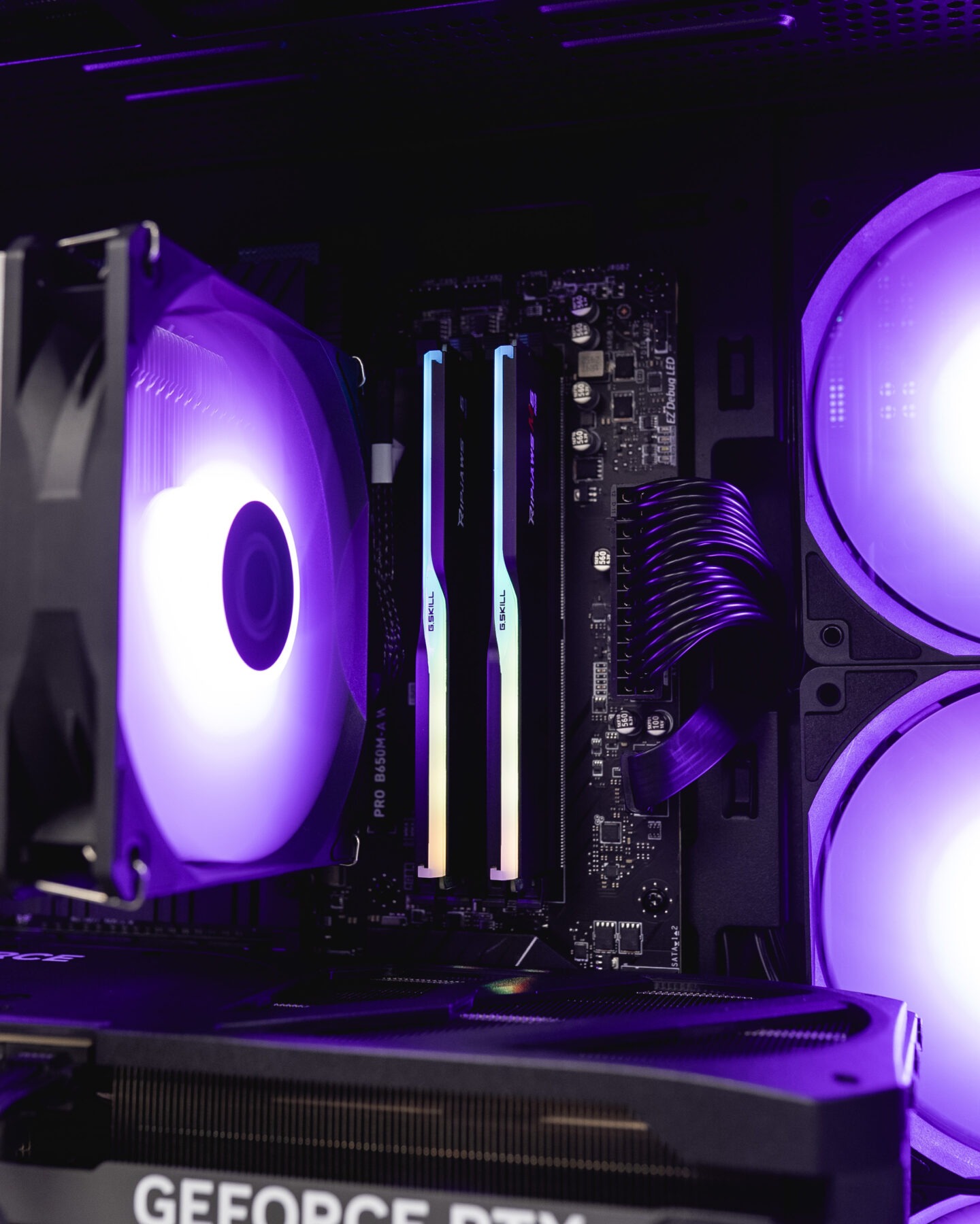 Dreamcore x Temasek Poly 7 Dreamcore Custom PCs The Best Custom PCs in Singapore